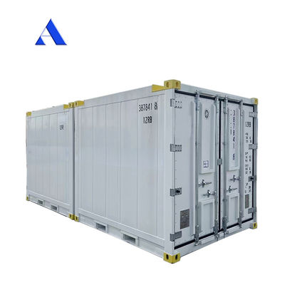 10 voet DNV 2.7-1 Standaardcontainervriezer Bevroren offshore koelbak met CSC-certificaat en Sling Leg Angle Max 45 graden