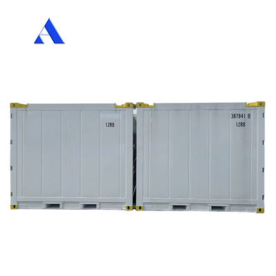 10 voet DNV 2.7-1 Standaardcontainervriezer Bevroren offshore koelbak met CSC-certificaat en Sling Leg Angle Max 45 graden
