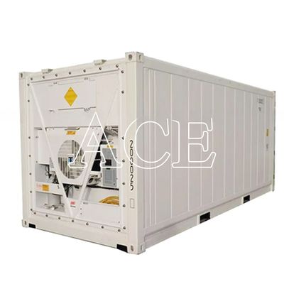 20ft Reefer Container Thermo King gekoelde koeler met externe afmetingen 606*244*259mm en 32CBM capaciteit