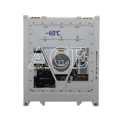 40ft Reefer Deep Blast Feezer Containers Polyurethane Geïsoleerde Thermo King koelkast voor 60 graden vers tonijn opslag