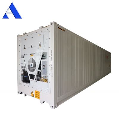 40ft Reefer Deep Blast Feezer Containers Polyurethane Geïsoleerde Thermo King koelkast voor 60 graden vers tonijn opslag