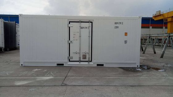 Carrier Cooler 20ft Reefer Container met Side Door Aluminium Bottom Thermo King koelvriezer