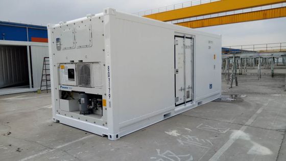 Carrier Cooler 20ft Reefer Container met Side Door Aluminium Bottom Thermo King koelvriezer