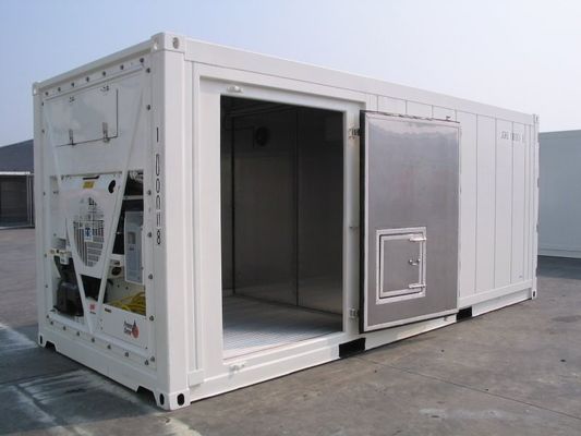 Carrier Cooler 20ft Reefer Container met Side Door Aluminium Bottom Thermo King koelvriezer