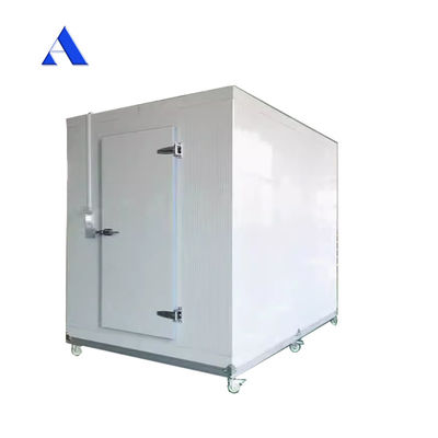 4x2.2x2.5m Mobiele 13ft mini drinkbare koelvriezer en koelcontainer Koelopslagruimte met aluminium T-bar vloer