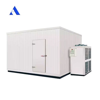 4x2.2x2.5m Mobiele 13ft mini drinkbare koelvriezer en koelcontainer Koelopslagruimte met aluminium T-bar vloer