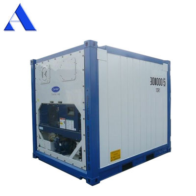 10ft van roestvrij staal Offshore Reefer Accommodation Container DNV gecertificeerd met Thermo King koelingseenheid