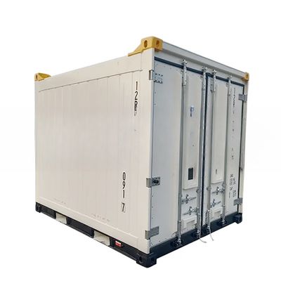 10ft offshore koelcontainer CSC/BV certificaten gemaakt van staal en aluminium met aluminium T-bar vloer