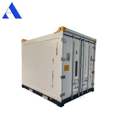 10ft offshore koelcontainer CSC/BV certificaten gemaakt van staal en aluminium met aluminium T-bar vloer