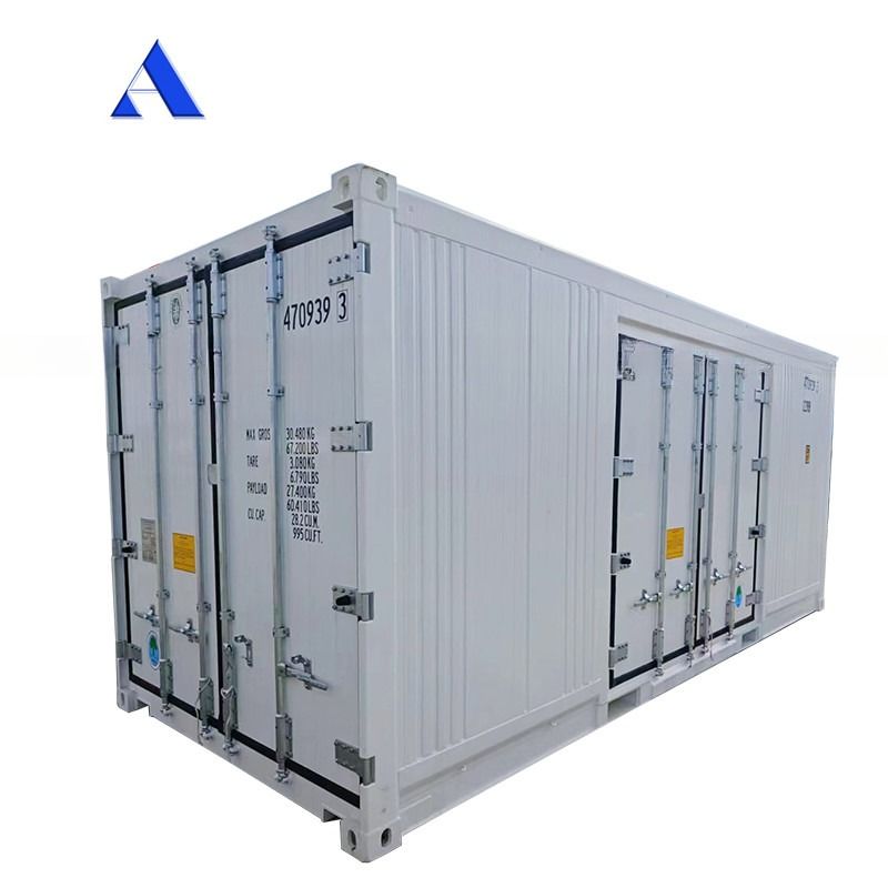 Carrier Cooler 20ft Reefer Container met Side Door Aluminium Bottom Thermo King koelvriezer
