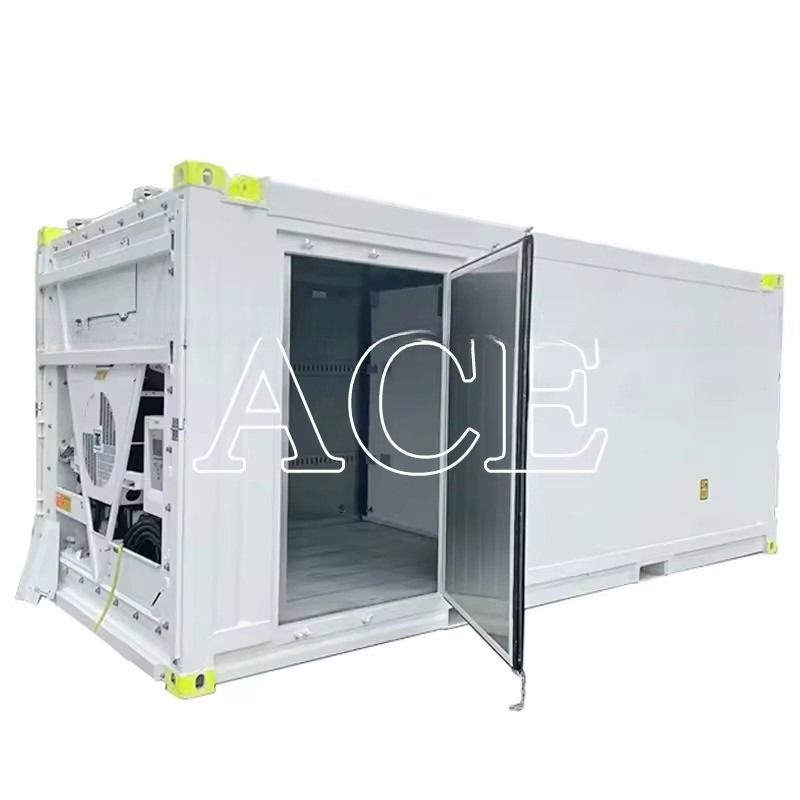 20ft HGSS Inner Material Dual Temperature Offshore Dry Container