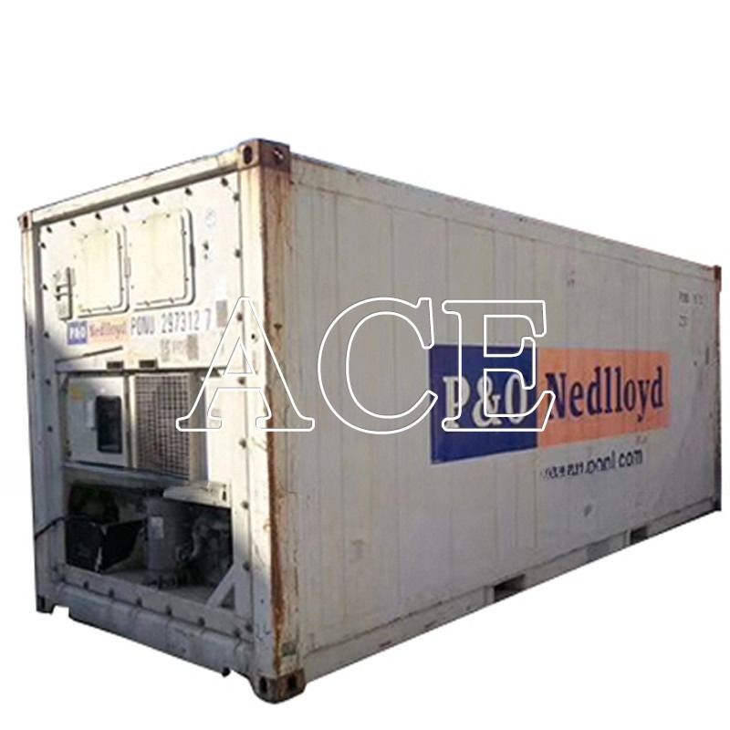 20ft tweedehands koelkast Minus 18 graden Reefer Container in Dubai Deur Opening 2290 x 2246 MM Leeftijd 2004-2008
